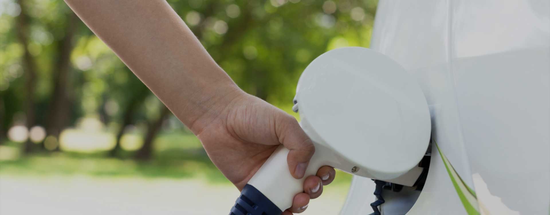 Quais são as diferenças entre a bateria de lítio por atacado e a bateria regular?